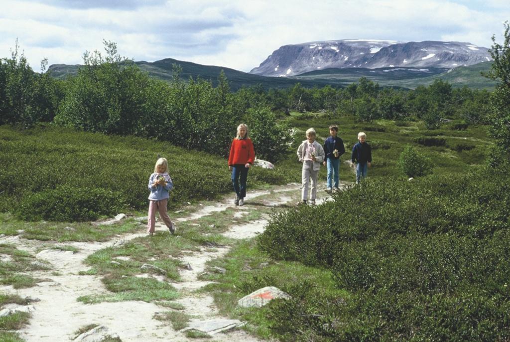 Lia Fjellhotell Geilo Exterior photo